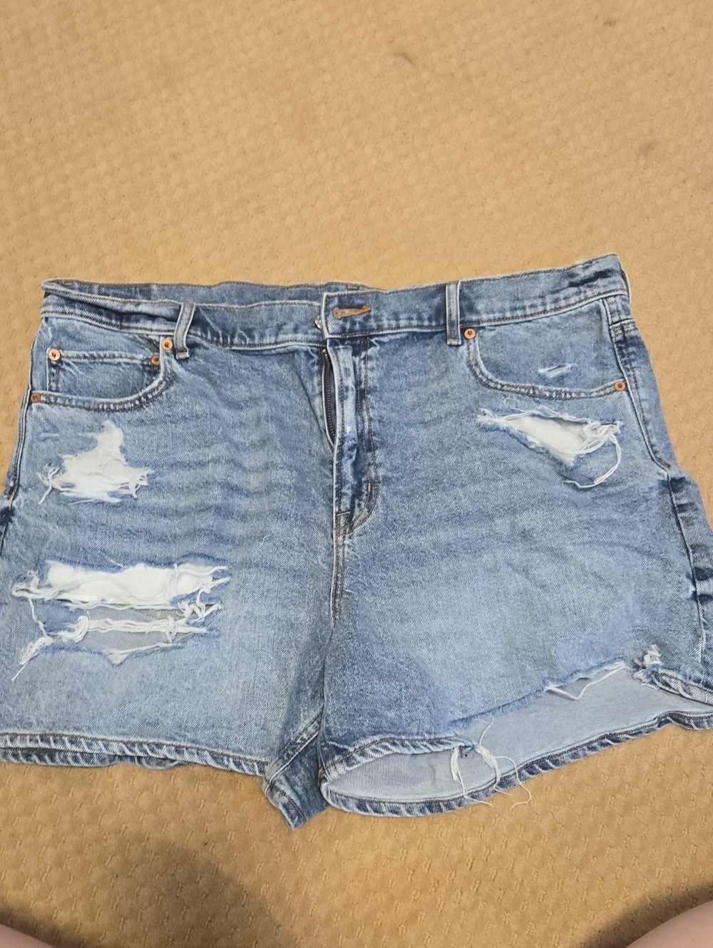 American Eagle Outfitters Light Blue Distressed Denim Shorts 18